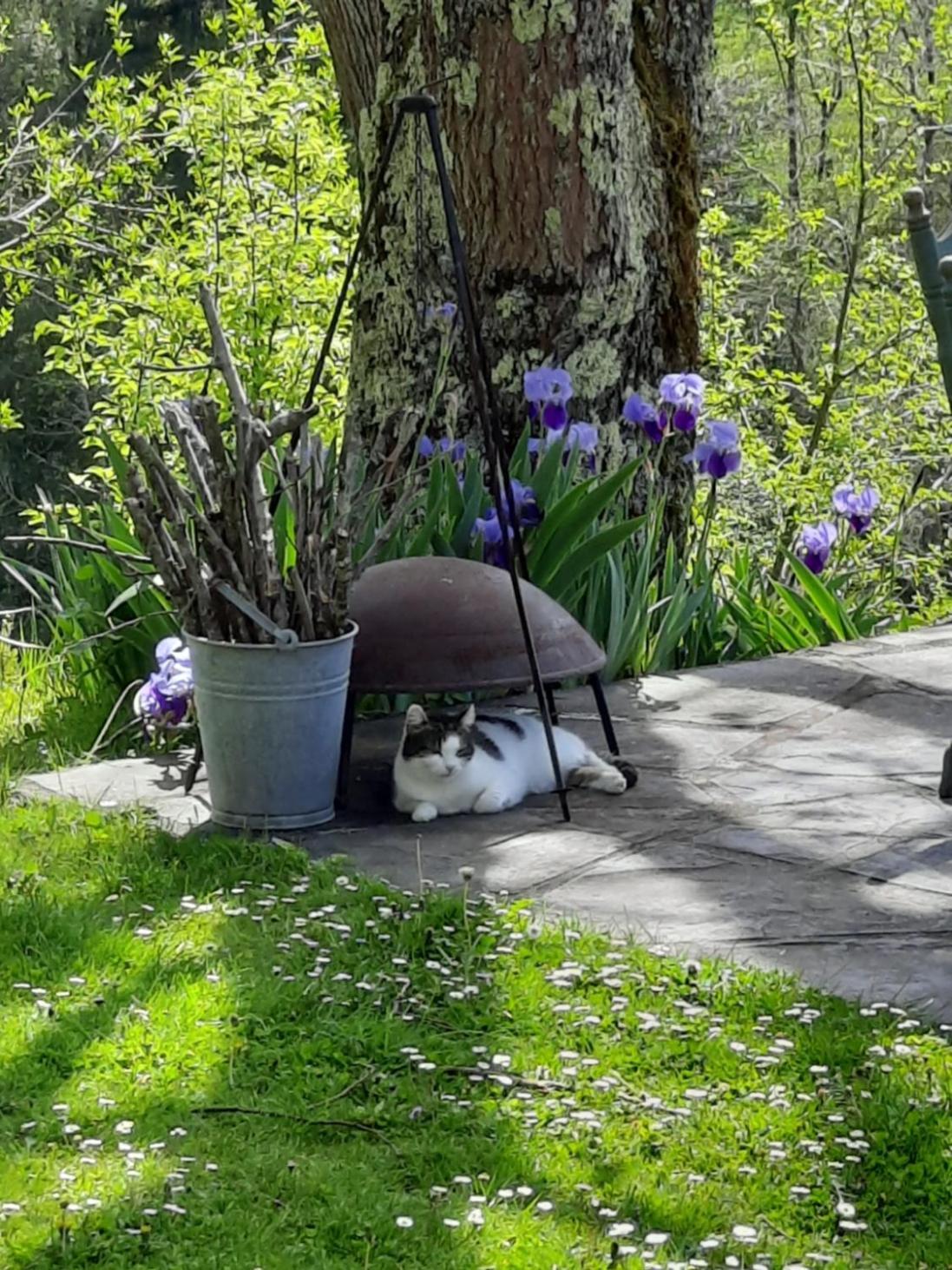 Bed and Breakfast Biert La Coume, Tweepersoonsbed Exterior foto